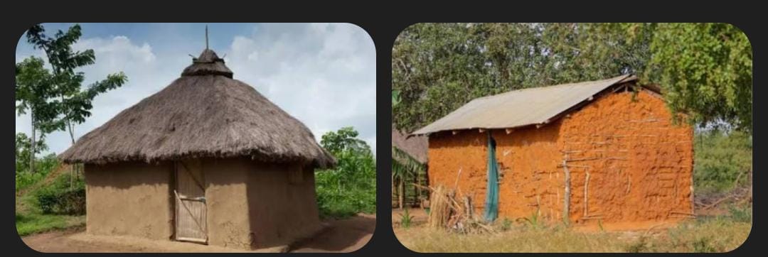 Decent Homes for Widows